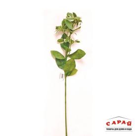 Цветок искусственный Эуфорбия зеленая 221143