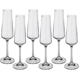 Набор бокалов для шампанского Naomi/Corvus 6 шт 160 мл 669-157