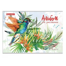 Альбом для рисования А4 24 листа скоба обложка картон Brauberg 202х285 мм Райские птички 2 вида